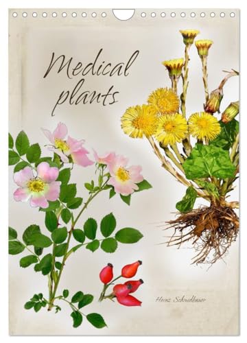 Medical plants (Wall Calendar 2025 DIN A4 portrait), CALVENDO 12 Month Wall Calendar: Medical plants ¿ very impressively shown in the style of old master craftsmen