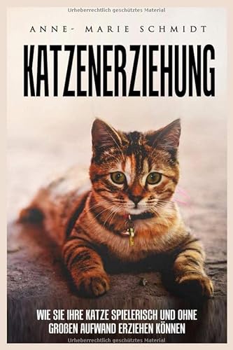 Katzenerziehung: g - Wie sie ihre Katze spielerisch und ohne großen Aufwand erziehen können. Katzenerziehung: g - Wie sie ihre Katze spielerisch und ohne großen Aufwand erziehen können.