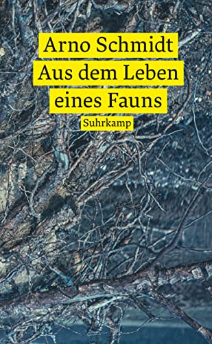 Aus dem Leben eines Fauns: Roman (suhrkamp taschenbuch)