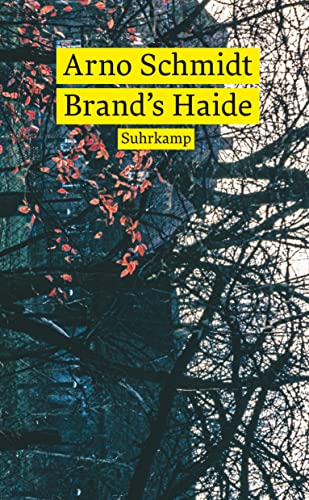 Brand’s Haide: Roman (suhrkamp taschenbuch) von Suhrkamp Verlag