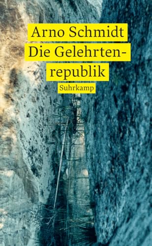 Die Gelehrtenrepublik: Roman (suhrkamp taschenbuch) von Suhrkamp Verlag