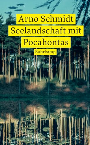 Seelandschaft mit Pocahontas (suhrkamp taschenbuch)