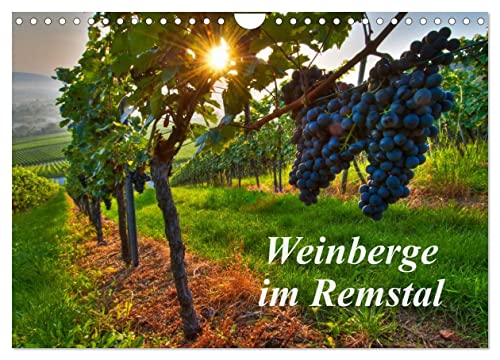 Weinberge im Remstal (Wandkalender 2025 DIN A4 quer), CALVENDO Monatskalender: Fotografischer Spaziergang über das Jahr durch die Weinberge im Remstal / Württemberg.