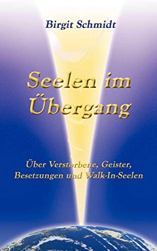 Seelen im Übergang: Über Verstorbene, Geister, Besetzungen und Walk-In-Seelen