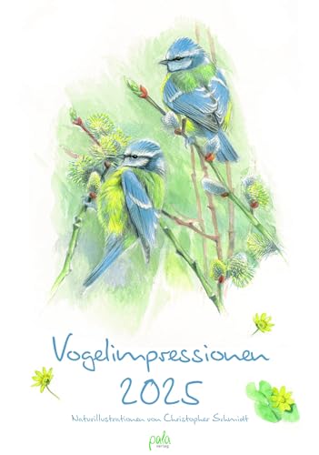 Vogelimpressionen 2025: Naturillustrationen von Christopher Schmidt von pala