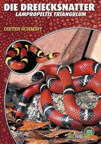 Die Dreiecksnatter: Lampropeltis triangulum