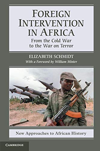 Foreign Intervention in Africa: From the Cold War to the War on Terror (New Approaches to African History, 7, Band 7)