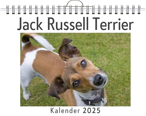 Jack Russell Terrier - (Wandkalender 2025, Kalender DIN A4 quer, Monatskalender im Querformat mit Kalendarium, das perfekte Geschenk) von FlipFlop