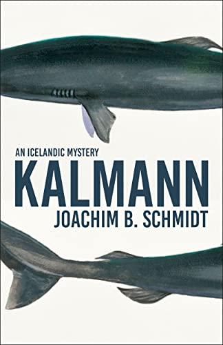 Kalmann (An Icelandic Mystery) von BITTER LEMON PR