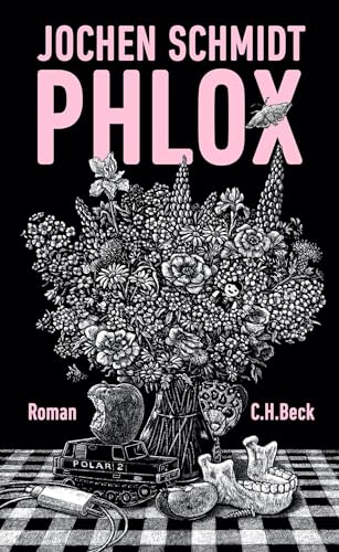 Phlox Phlox