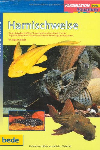 Harnischwelse, Faszination Harnischwelse, Faszination