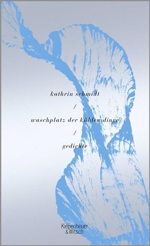 waschplatz der kühlen dinge: Gedichte