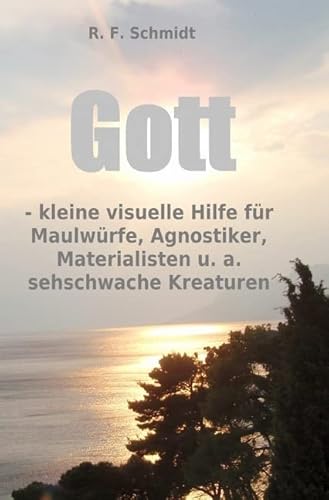 Gott - kleine visuelle Hilfe für Maulwürfe, Agnostiker, Materialisten u. a. sehschwache Kreaturen: Keine Phrasen, keine Gefühlsausbrüche, sondern nüchterne Fragen! von epubli