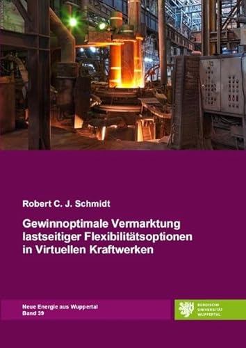 Neue Energie aus Wuppertal / Gewinnoptimale Vermarktung lastseitiger Flexibilitätsoptionen in Virtuellen Kraftwerken