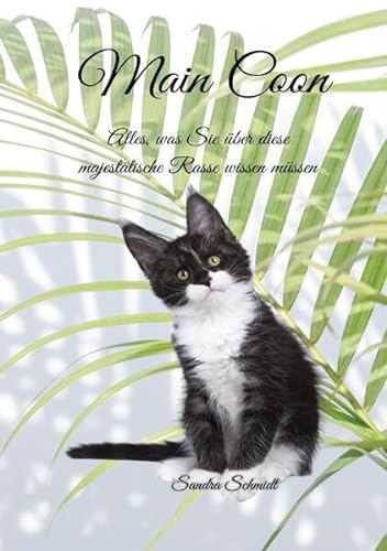 Die Main Coon Katze: Alles, was Sie über diese majestätische Rasse wissen müssen von epubli