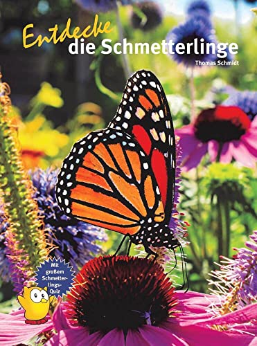 Entdecke die Schmetterlinge (Entdecke - Die Reihe mit der Eule: Kindersachbuchreihe)