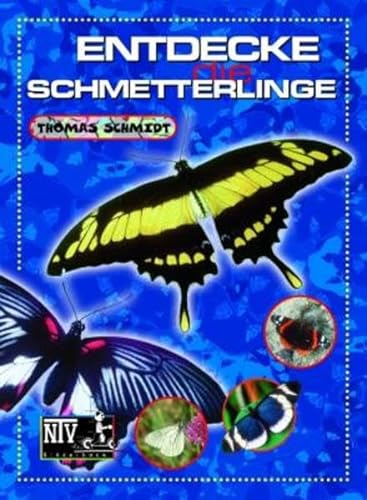 Entdecke die Schmetterlinge (Entdecke - Die Reihe mit der Eule: Kindersachbuchreihe)