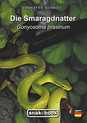 Die Smaragdnatter: Gonyosoma prasinum (SNAKEBOOK)