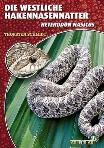 Die Westliche Hakennasennatter: Heterodon nasicus