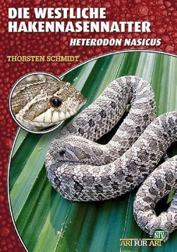 Die Westliche Hakennasennatter: Heterodon nasicus von NTV Natur und Tier-Verlag