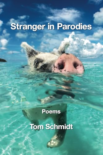 Stranger in Parodies von Kelsay Books