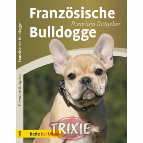 Französische Bulldogge