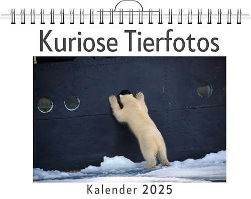 Kuriose Tierfotos - (Wandkalender 2025, Kalender DIN A4 quer, Monatskalender im Querformat mit Kalendarium, das perfekte Geschenk) von FlipFlop
