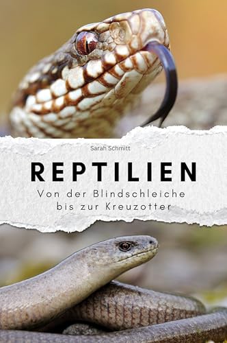 Reptilien - Das perfekte Geschenk für Männer und Frauen zu Weihnachten und Geburtstag. Hochwertige Hardcover-Ausgabe: Von der Blindschleiche bis zur Kreuzotter von FlipFlop