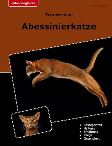 Traumrasse Abessinierkatze von BoD – Books on Demand