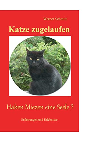 Katze zugelaufen: Haben Miezen eine Seele ? von Books on Demand