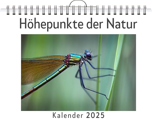 Höhepunkte der Natur - (Wandkalender 2025, Kalender DIN A4 quer, Monatskalender im Querformat mit Kalendarium, das perfekte Geschenk) von FlipFlop