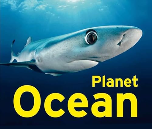 Planet Ocean: exhibition catalogue von KLARTEXT