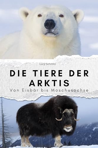 Die Tiere der Arktis - Das perfekte Geschenk für Männer und Frauen zu Weihnachten und Geburtstag. Hochwertige Hardcover-Ausgabe: Von Eisbär bis Moschusochse von FlipFlop
