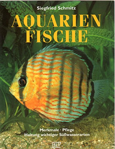 Aquarienfische: Merkmale, Pflege, Haltung wichtiger Süsswasserarten