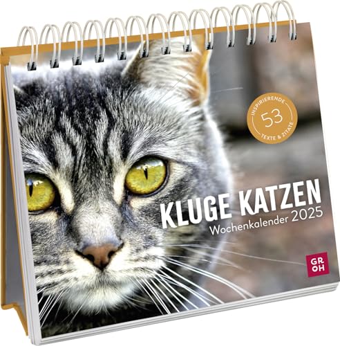Wochenkalender 2025: Kluge Katzen: Katzenkalender zum Aufstellen mit Wochenkalendarium, Tischkalender als Geschenk für Katzenfreunde