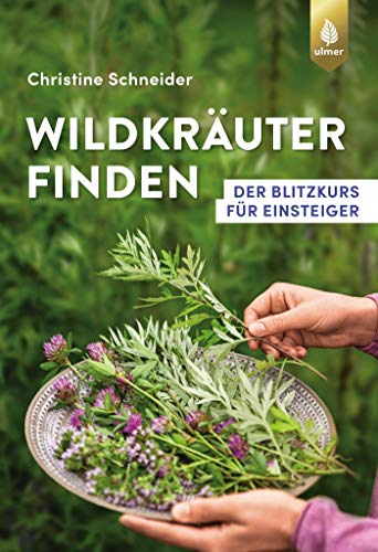 Wildkräuter finden: Der Blitzkurs für Einsteiger