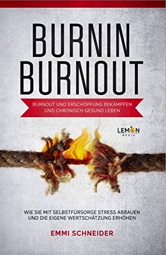 BurnIn BurnOut - Ein Erfahrungsbericht Burnout und Erschöpfung bekämpfen: Wie Sie mit Selbstfürsorge Stress abbauen und die eigene Wertschätzung erhöhen