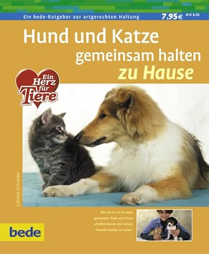 Hund und Katze gemeinsam halten: Es ist einfacher als Sie denken. Hund und Katze können friedlich unter einem Dach wohnen. Mit ein paar Tipps und Tricks werden sie sogar Freunde fürs Leben von bede bei Ulmer