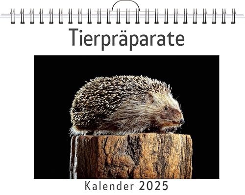 Tierpräparate - (Wandkalender 2025, Kalender DIN A4 quer, Monatskalender im Querformat mit Kalendarium, das perfekte Geschenk) von FlipFlop
