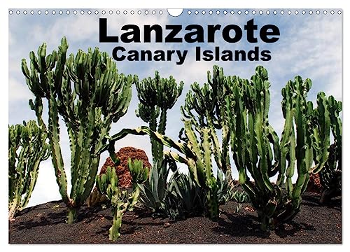 Lanzarote - Canary Islands (Wandkalender 2025 DIN A3 quer), CALVENDO Monatskalender von CALVENDO