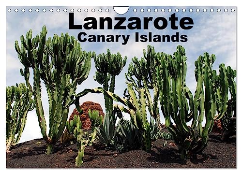 Lanzarote - Canary Islands (Wall Calendar 2025 DIN A4 landscape), CALVENDO 12 Month Wall Calendar: Fantastic Views
