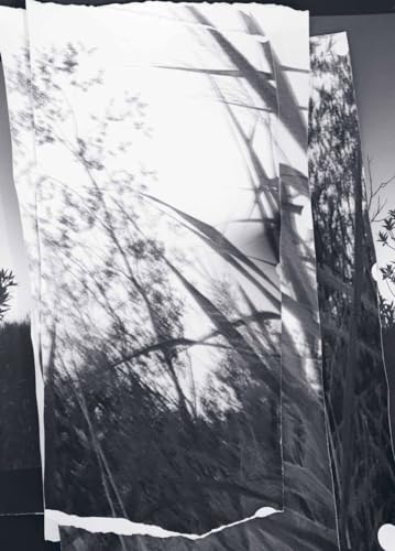 walks, conversations: Berit Schneidereit walks, conversations: Berit Schneidereit von DISTANZ Verlag