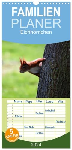 Familienplaner 2024 - Eichhörnchen mit 5 Spalten (Wandkalender, 21 cm x 45 cm) CALVENDO