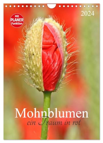 Mohnblumen-ein Traum in rot (Wandkalender 2024 DIN A4 hoch), CALVENDO Monatskalender: Mohnblumen begleiten Sie durch das Jahr von CALVENDO