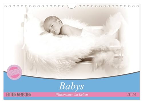 Babys - Willkommen im Leben (Wandkalender 2024 DIN A4 quer), CALVENDO Monatskalender: Säuglinge von CALVENDO