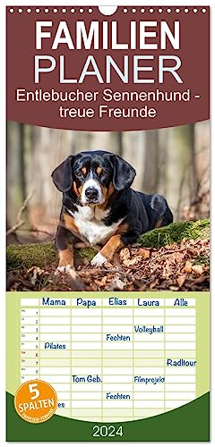Familienplaner 2024 - Entlebucher Sennenhund - treue Freunde mit 5 Spalten (Wandkalender, 21 cm x 45 cm) CALVENDO
