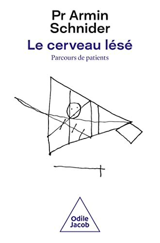 Le Cerveau lésé: Parcours de patients von JACOB