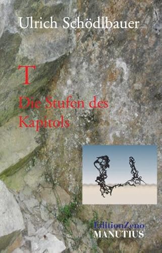 T – Die Stufen des Kapitols: Ein politischer Roman
