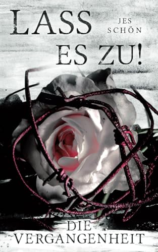 Lass es zu!: Die Vergangenheit von Jes Schön
