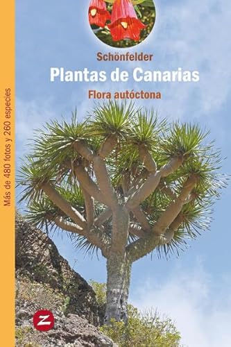 Plantas de Canarias: Flora autóctona (Guías de Naturaleza, Band 1)